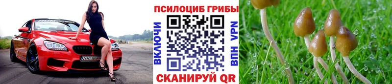 mega ССЫЛКА  где можно купить наркотик  Нестеровская  Галлюциногенные грибы мухоморы 
